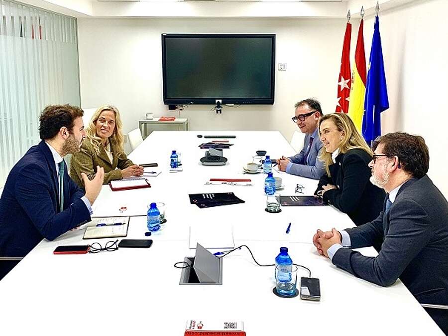 Asistentes en el encuentro celebrado en la Consejería de Economía, Hacienda y Empleo de Madrid