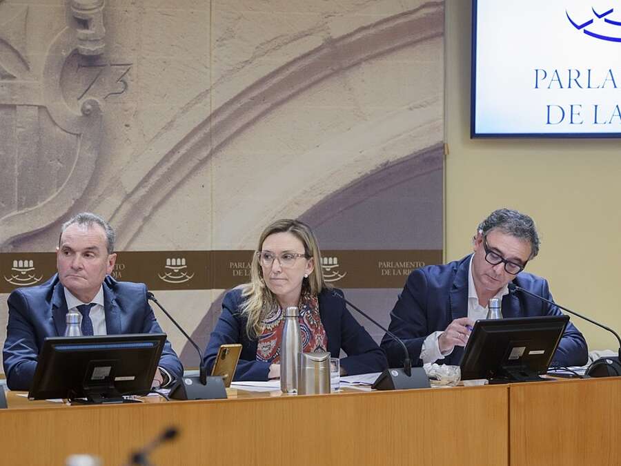 Comparecencia en Comisión parlamentaria para informar de la declaración como PIER el proyecto empresarial de Formatt Building Products Spain SAU