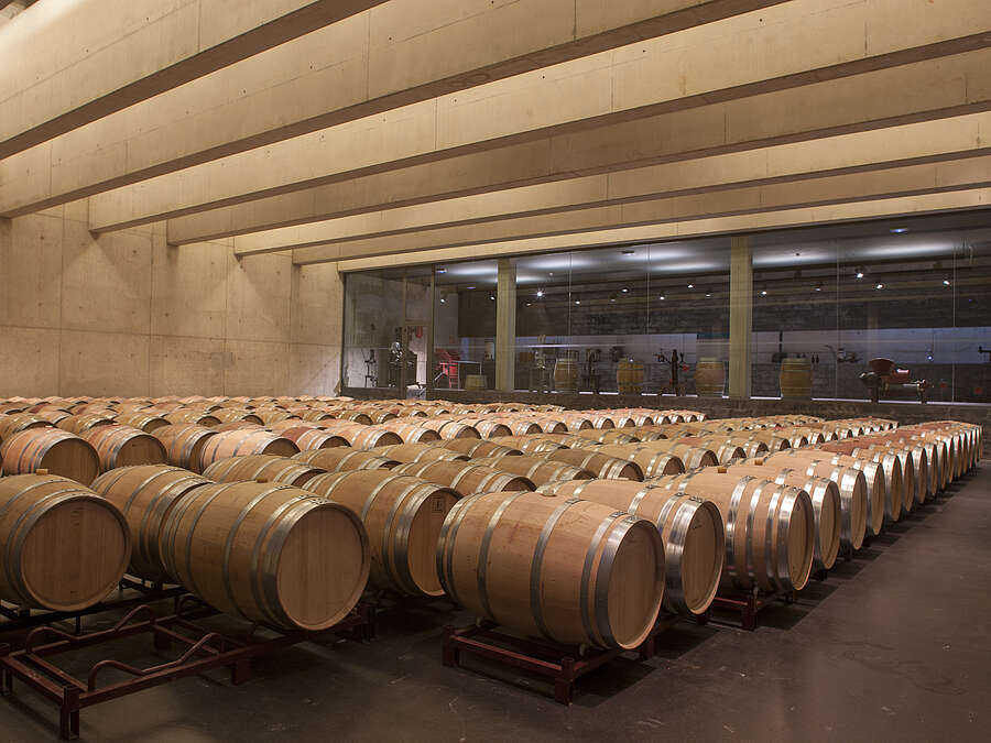 Sala de barricas de una bodega