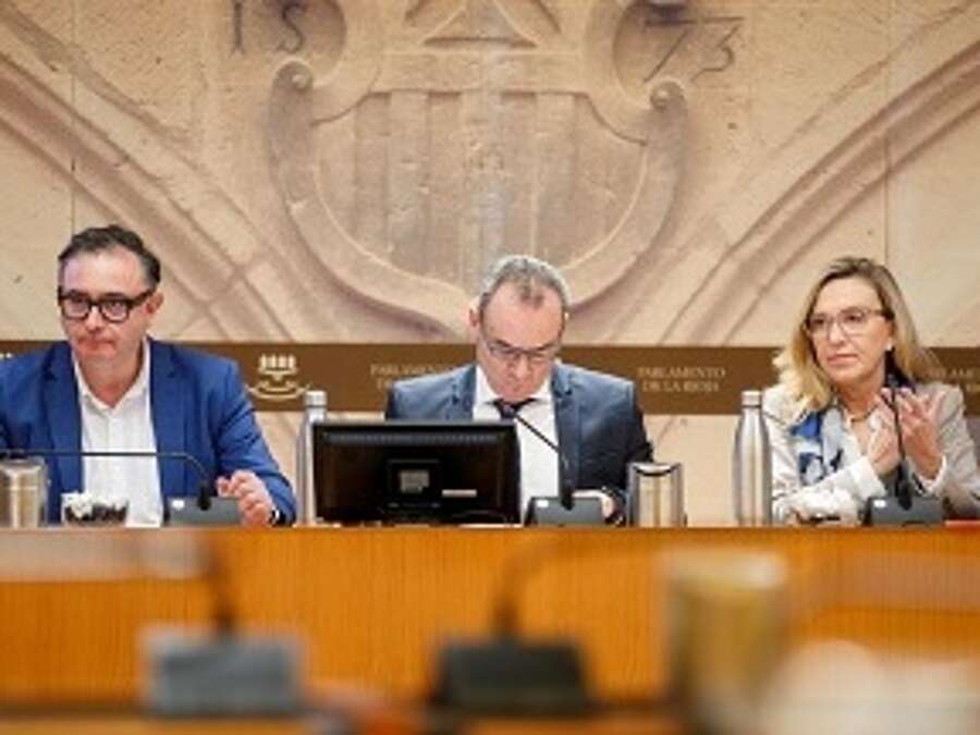 La consejera de Economía, Innovación, Empresa y Trabajo Autónomo, Belinda León y Luis Pérez Echeguren, gerente de ADER, durante su comparecencia en la Comisión de Estudio de Arneplant