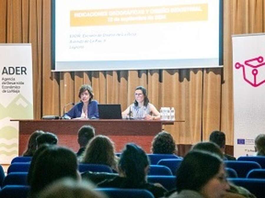 Desarrollo de la jornada ‘Indicaciones geográficas y diseño industrial’