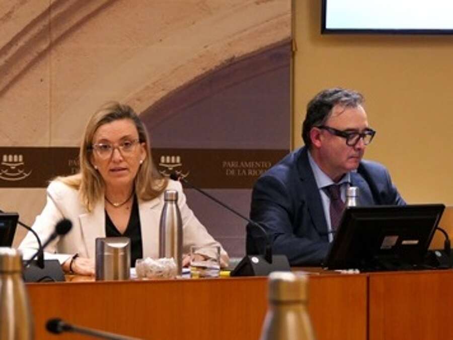 La consejera de Economía, Innovación, Empresa y Trabajo Autónomo, Belinda León, y el gerente de ADER, Luis Pérez Echeguren, en la comparecencia parlamentaria